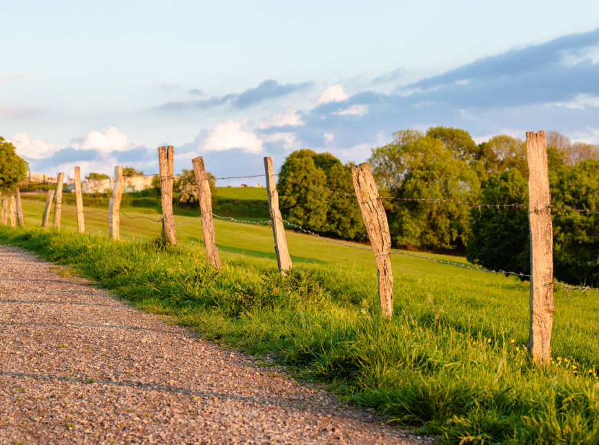Vente piquets de clôture Acacia en Haute-Loire